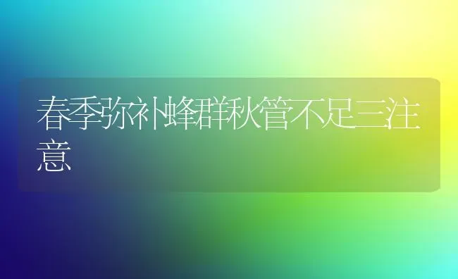 春季弥补蜂群秋管不足三注意 | 养殖技术大全