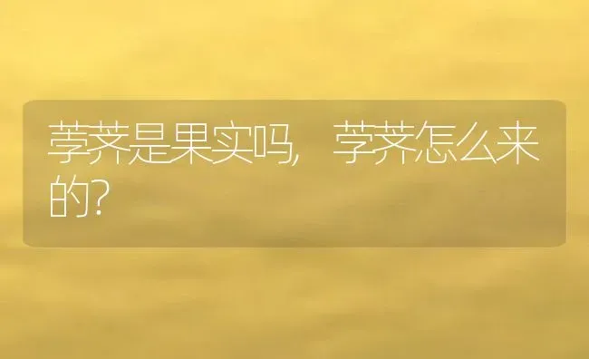 荸荠是果实吗,茡荠怎么来的？ | 养殖科普