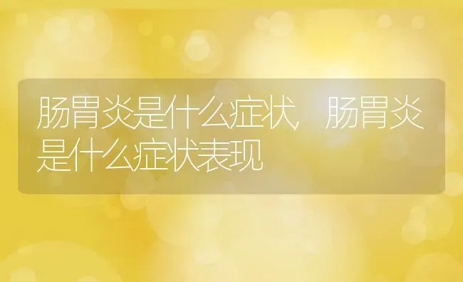 肠胃炎是什么症状,肠胃炎是什么症状表现 | 养殖科普