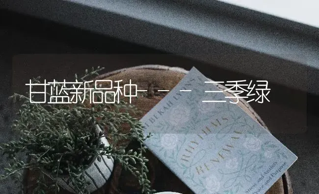甘蓝新品种---三季绿 | 养殖技术大全
