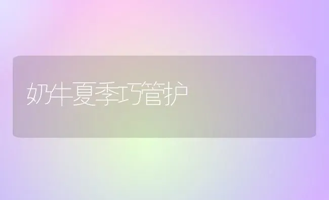 奶牛夏季巧管护 | 养殖知识