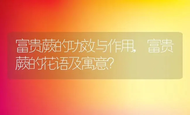 富贵蕨的功效与作用,富贵蕨的花语及寓意？ | 养殖科普