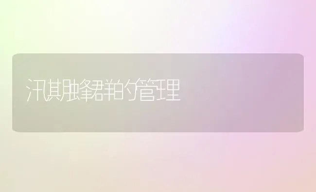 汛期蜂群的管理 | 养殖技术大全