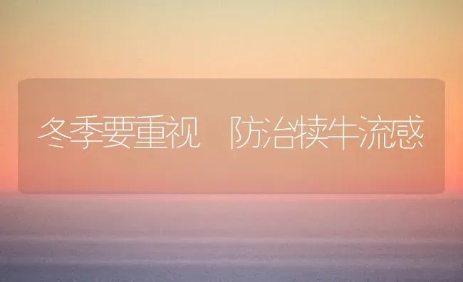 冬季要重视 防治犊牛流感 | 养殖技术大全