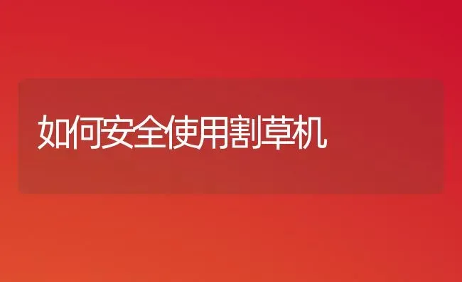 如何安全使用割草机 | 养殖知识