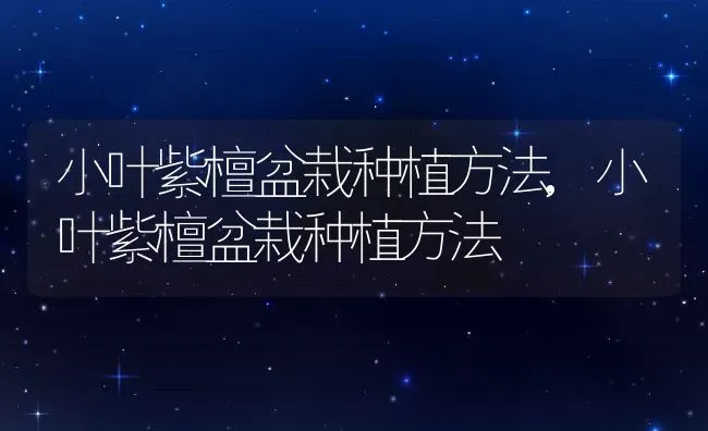 小叶紫檀盆栽种植方法,小叶紫檀盆栽种植方法 | 养殖科普