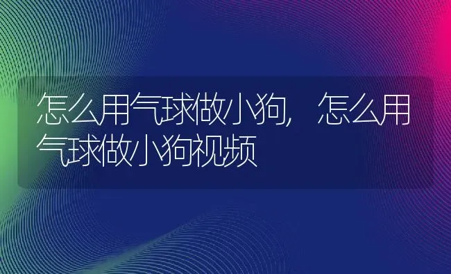 怎么用气球做小狗,怎么用气球做小狗视频 | 养殖科普