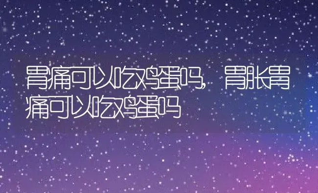 胃痛可以吃鸡蛋吗,胃胀胃痛可以吃鸡蛋吗 | 养殖资料