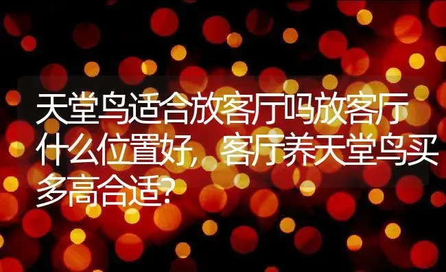 天堂鸟适合放客厅吗放客厅什么位置好,客厅养天堂鸟买多高合适？ | 养殖科普