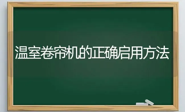 温室卷帘机的正确启用方法 | 养殖技术大全