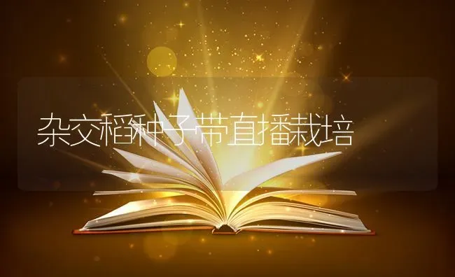 杂交稻种子带直播栽培 | 养殖技术大全