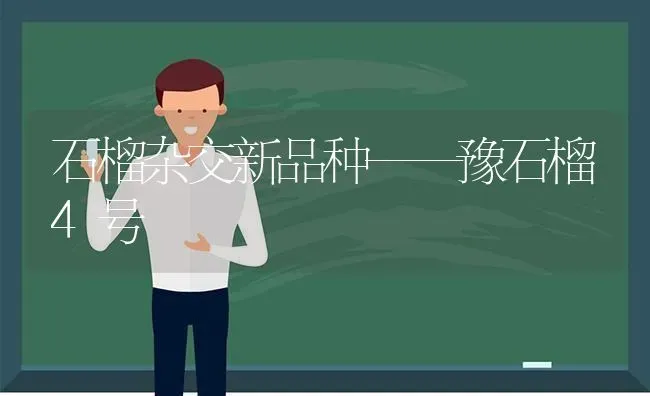 石榴杂交新品种——豫石榴4号 | 养殖知识