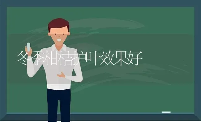 中草药红花栽培技术 | 养殖技术大全