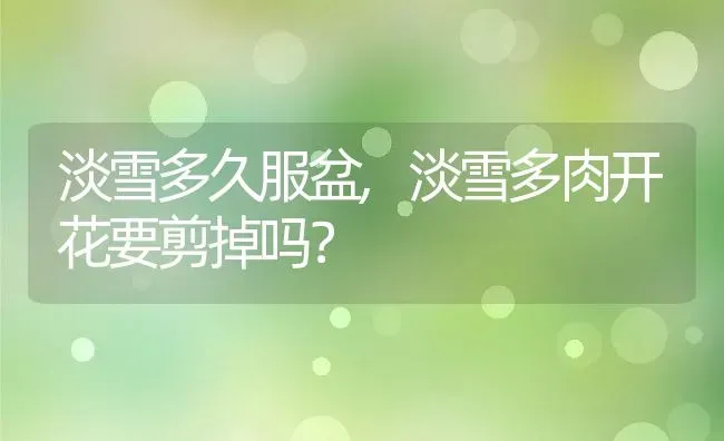 淡雪多久服盆,淡雪多肉开花要剪掉吗？ | 养殖科普