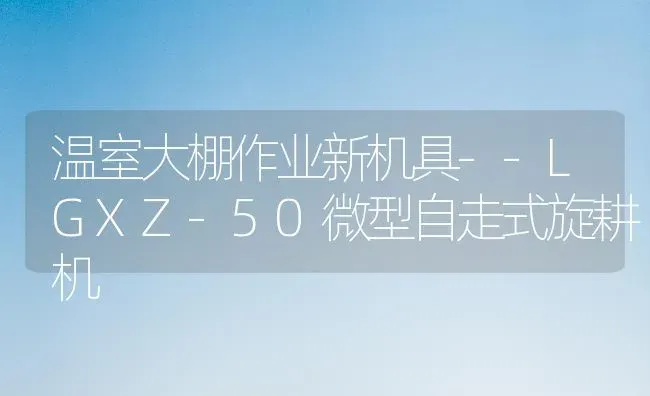 温室大棚作业新机具--LGXZ-50微型自走式旋耕机 | 养殖技术大全