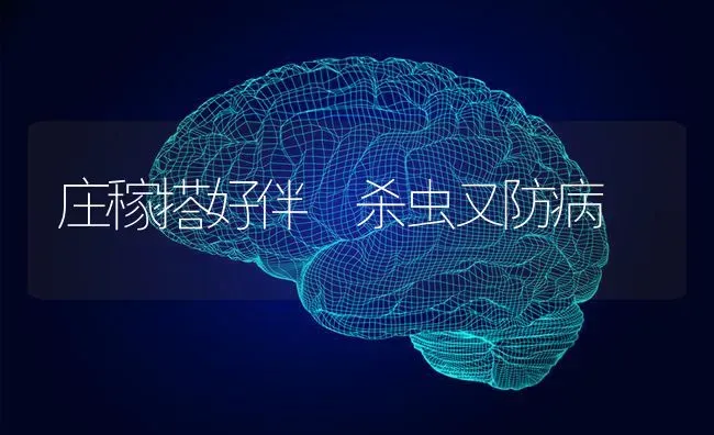 庄稼搭好伴 杀虫又防病 | 养殖知识