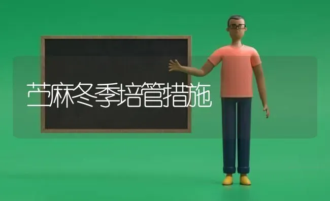 苎麻冬季培管措施 | 养殖技术大全