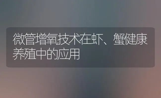 微管增氧技术在虾、蟹健康养殖中的应用 | 养殖知识