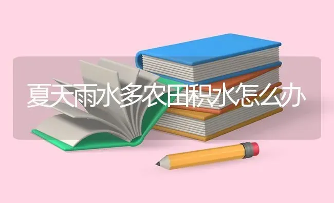 夏天雨水多农田积水怎么办 | 养殖技术大全