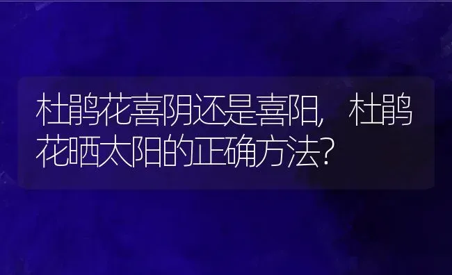 杜鹃花喜阴还是喜阳,杜鹃花晒太阳的正确方法？ | 养殖学堂