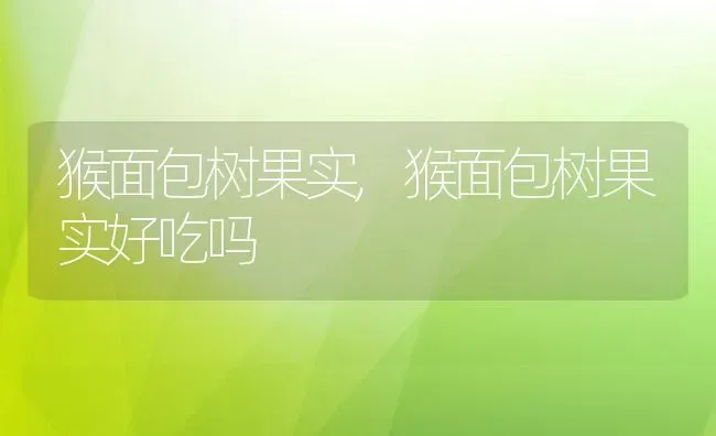 猴面包树果实,猴面包树果实好吃吗 | 养殖资料