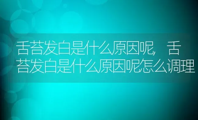 舌苔发白是什么原因呢,舌苔发白是什么原因呢怎么调理 | 养殖科普