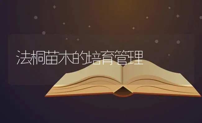 法桐苗木的培育管理 | 养殖技术大全