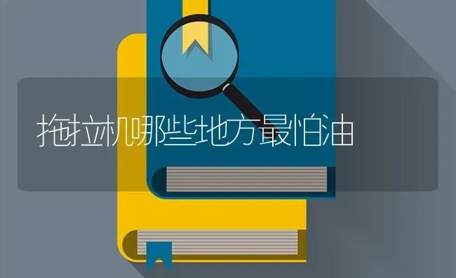 拖拉机哪些地方最怕油 | 养殖技术大全