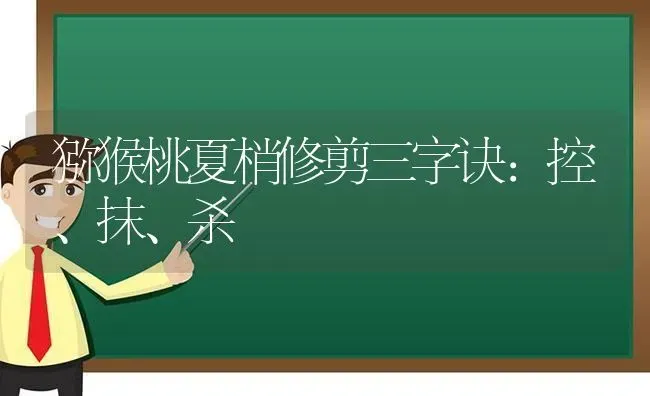 猕猴桃夏梢修剪三字诀：控、抹、杀 | 养殖技术大全