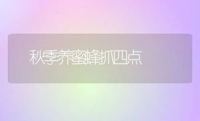 秋季养蜜蜂抓四点 | 养殖技术大全