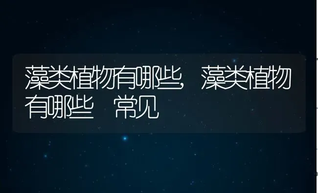 藻类植物有哪些,藻类植物有哪些 常见 | 养殖资料