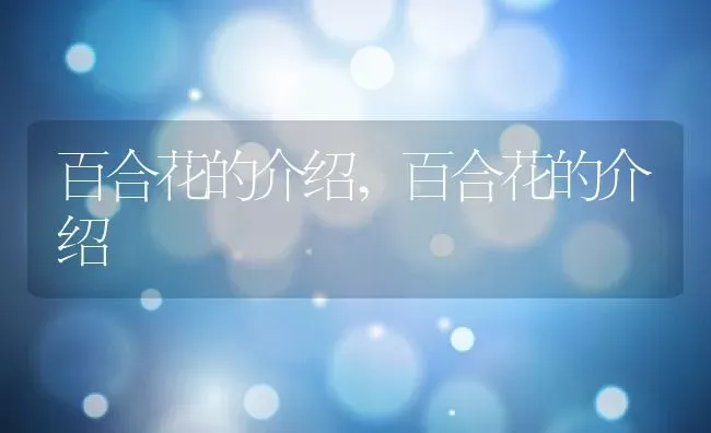 百合花的介绍,百合花的介绍 | 养殖科普