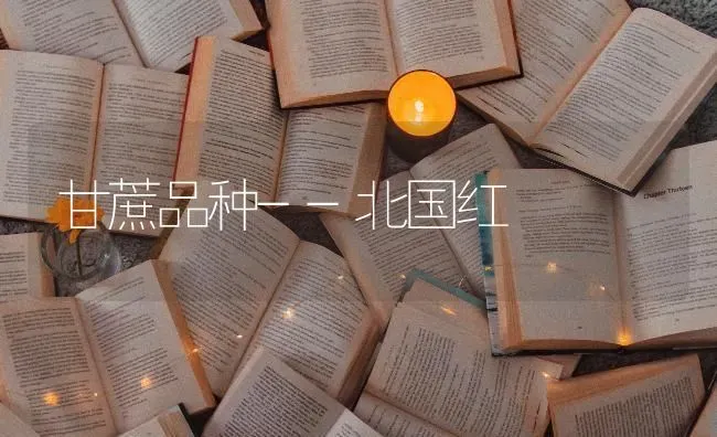 甘蔗品种--北国红 | 养殖知识