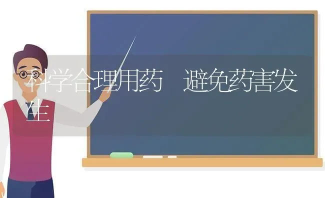 科学合理用药 避免药害发生 | 养殖技术大全