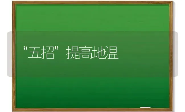 “五招”提高地温 | 养殖知识