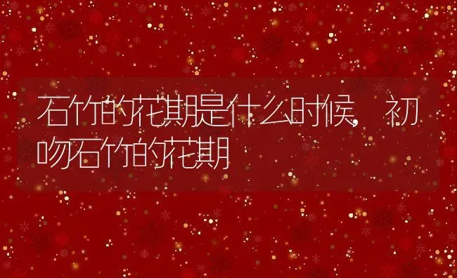 石竹的花期是什么时候,初吻石竹的花期 | 养殖学堂