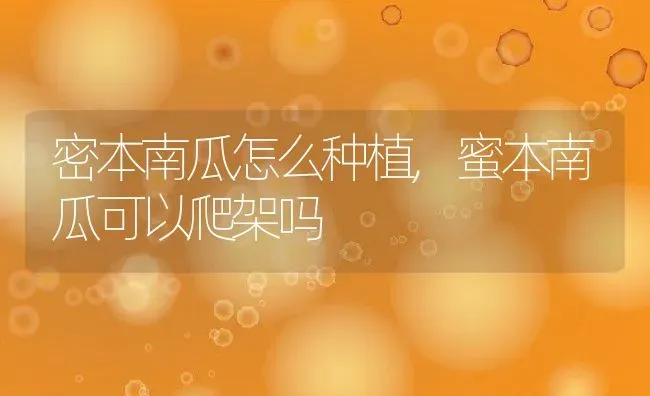 密本南瓜怎么种植,蜜本南瓜可以爬架吗 | 养殖学堂