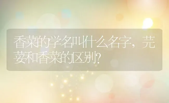香菜的学名叫什么名字,芫荽和香菜的区别？ | 养殖科普