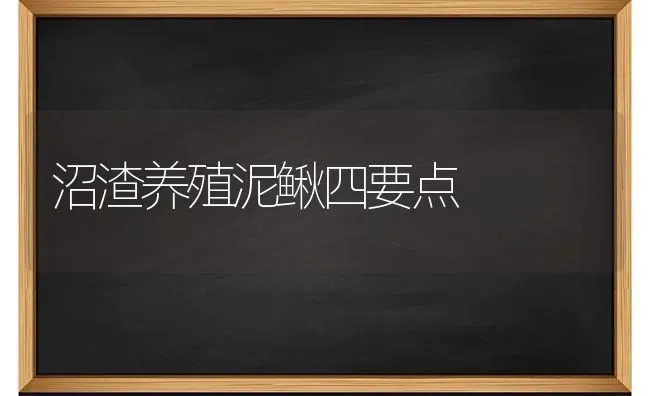 沼渣养殖泥鳅四要点 | 养殖知识