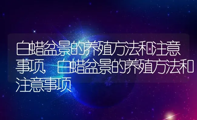 白蜡盆景的养殖方法和注意事项,白蜡盆景的养殖方法和注意事项 | 养殖科普