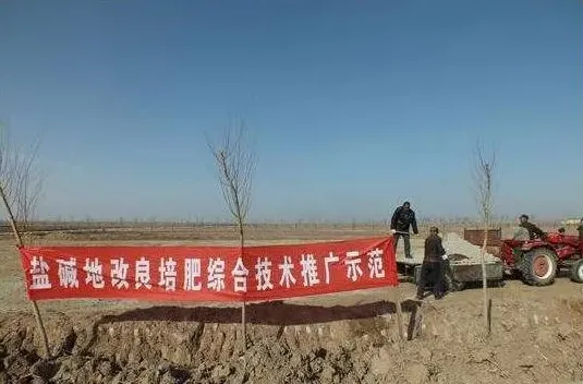 盐碱土的危害及其改良的方法技术 | 生活常识