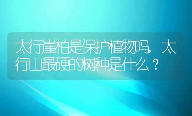 太行崖柏是保护植物吗,太行山最硬的树种是什么？ | 养殖科普