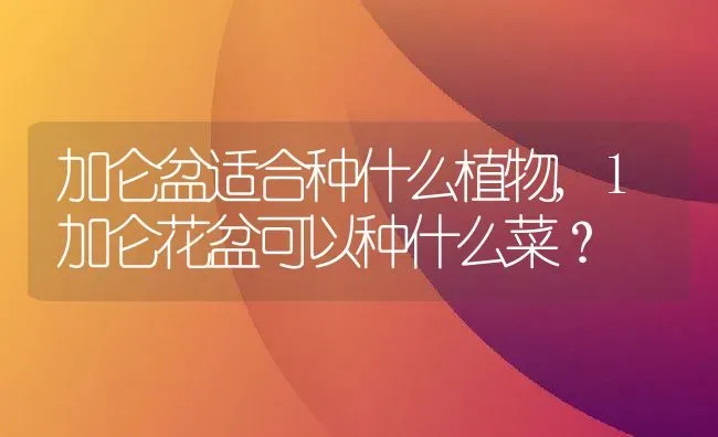 加仑盆适合种什么植物,1加仑花盆可以种什么菜？ | 养殖科普