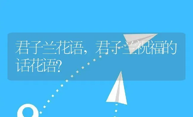 君子兰花语,君子兰祝福的话花语？ | 养殖学堂