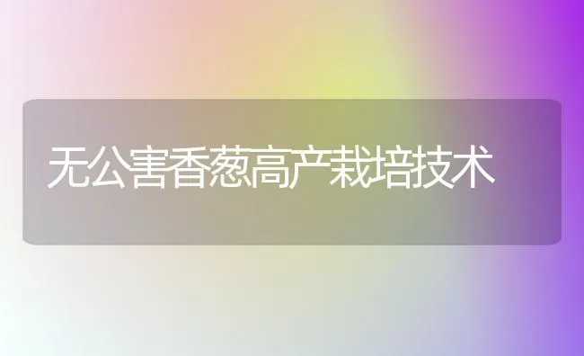 无公害香葱高产栽培技术 | 养殖技术大全
