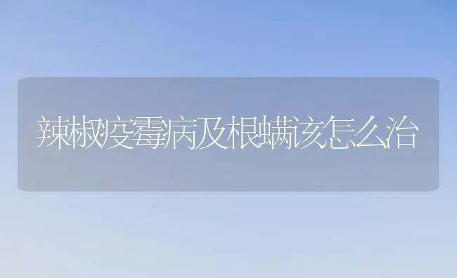 辣椒疫霉病及根螨该怎么治 | 养殖技术大全