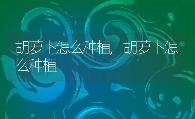 胡萝卜怎么种植,胡萝卜怎么种植 | 养殖科普