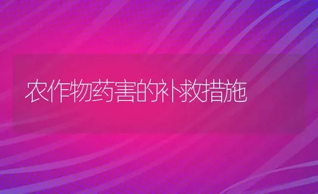 农作物药害的补救措施 | 养殖技术大全