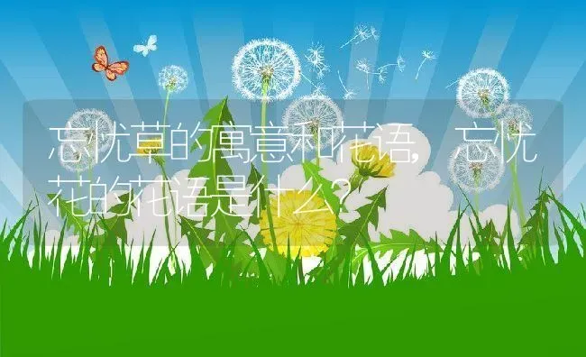 忘忧草的寓意和花语,忘忧花的花语是什么？ | 养殖科普