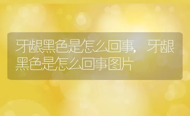 牙龈黑色是怎么回事,牙龈黑色是怎么回事图片 | 养殖科普